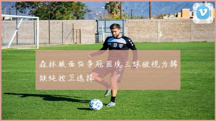 森林狼面临争冠困境三球被视为稀缺纯控卫选择