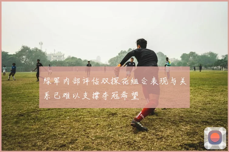 绿军内部评估双探花组合表现与关系已难以支撑夺冠希望