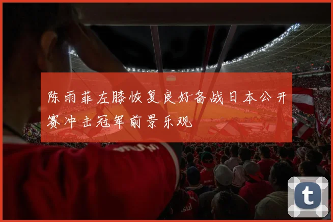 陈雨菲左膝恢复良好备战日本公开赛冲击冠军前景乐观